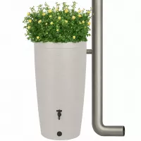 Esővízgyűjtő kaspó | Gobi | 240L
