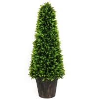 Élethű Babér Buxus 120 cm