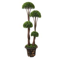 Élethű Pom Pom Buxus 120 cm