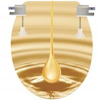 P-R Arany Csepp Mintás WC Tető 