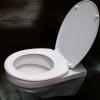 P-A Delfin mintás WC tető